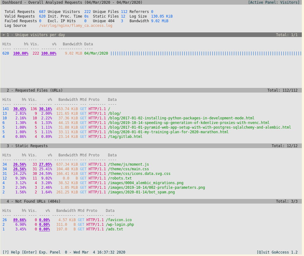 Sample goAccess TUI view