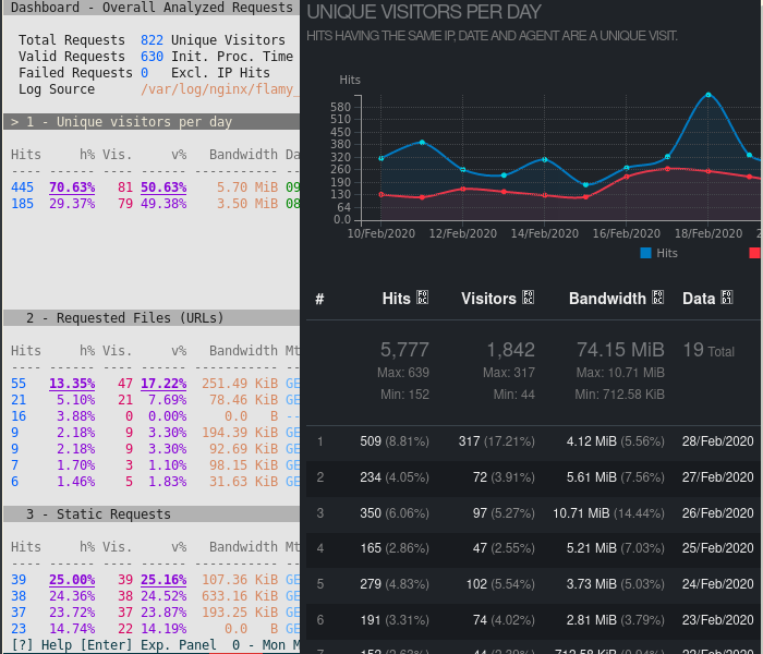 Side-by-side view of GoAccess TUI and web interface